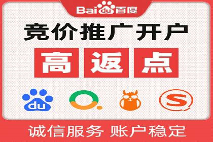 SEM代理操作技巧：成功案例揭秘